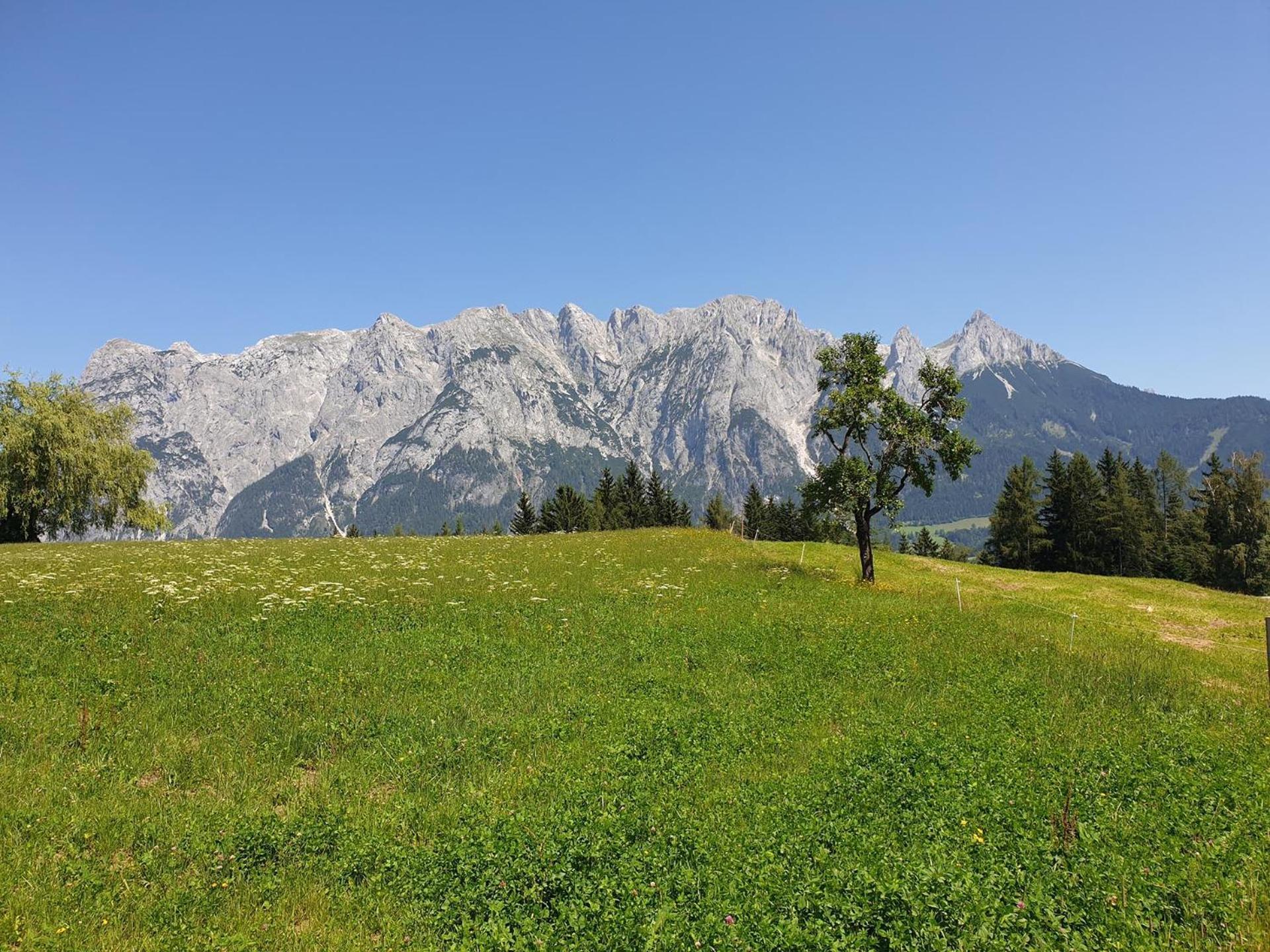 Mountain Residence Riesgut Werfen Exterior photo